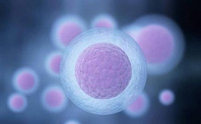 男性无精子症可以做试管吗？由这些因素决定了！