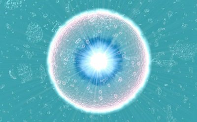 质量好的卵子都有哪些特点？养成这些生活习惯很重要！
