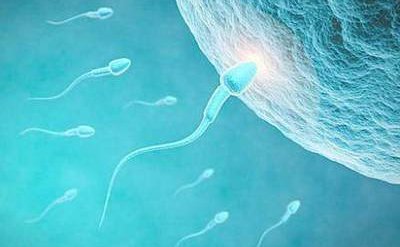 男人过胖精子质量会受到影响吗？提高精子质量很重要！