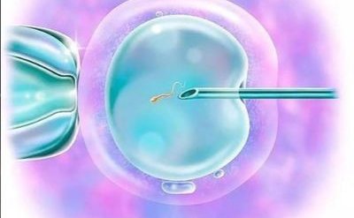 做试管是不是基础卵泡越多越容易成功？