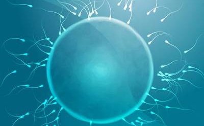 邢台精子畸形率高要考虑做三代试管吗？
